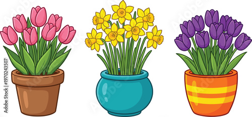Spring flowers in pots set with pink tulips, yellow daffodils, and purple tulips, flat vector illustration