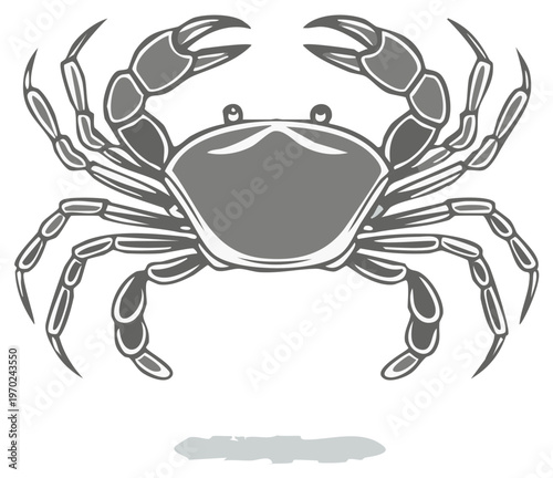 Stylized Crab Illustration with Claws Raised