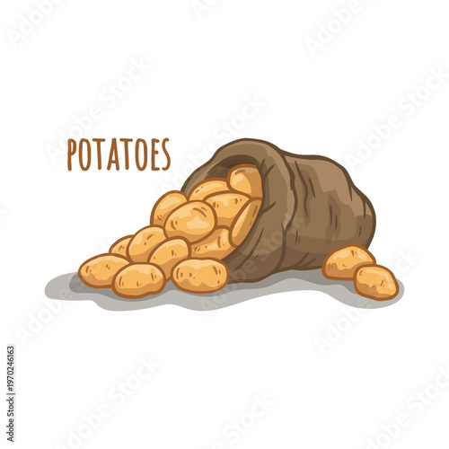 Hand drawn sack of potatoes. Potato in sketch style for packaging and prints, for store. Engraved farm potatoes in burlap sack, bunch. Harvested root crops. Food vector illustration