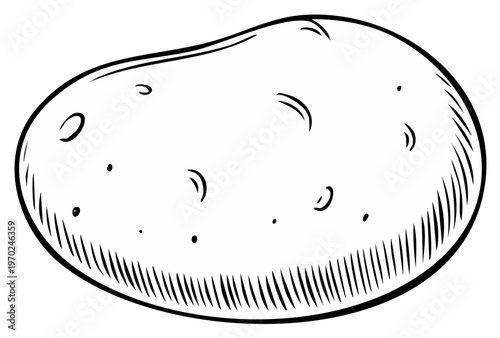 Illustrated Line Art of a Potato, Black and White, Vegetable Graphic