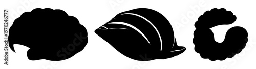 Clam shell silhouette set with single black outline form featuring marine life, beach, water, shell illustration with sea and ocean