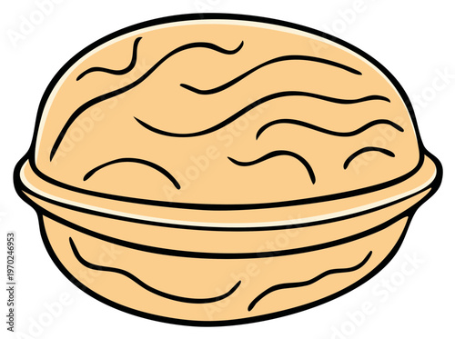 Simple Illustration of a Single Walnut Shell with Textured Surface and Outline