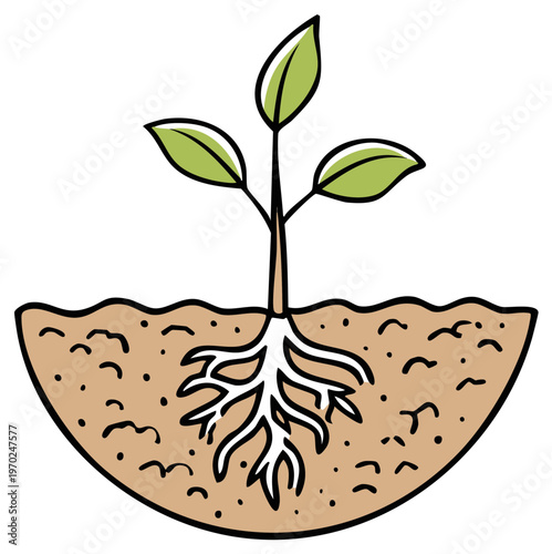 Cartoon illustration of a young plant with roots in the soil.