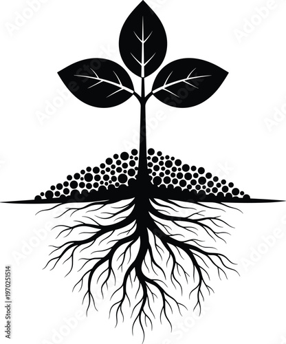 Foto Black silhouette of a young plant sprout growing from soil with deep roots underground isolated on a white background vector
