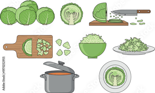 Cabbage cooking process vector illustration featuring chopping slicing boiling and serving vegetables in kitchen preparation sequence