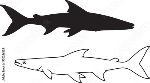 Silhouette of Boal,
Wallago attu fish on white background. Vector illustration