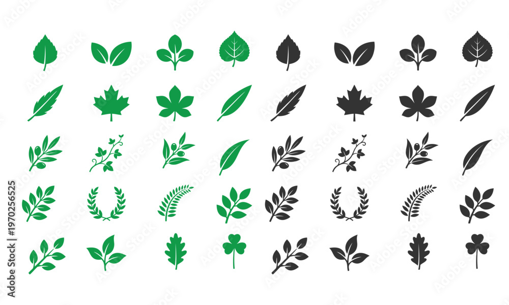 Fototapeta premium set of leaf logos in various styles