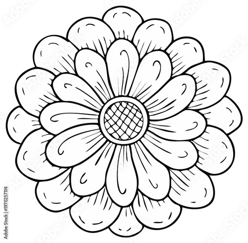 Black and white hand drawn daisy flower illustration, top view, floral design element