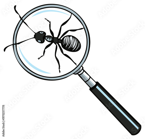 Black Ant Viewed Through a Magnifying Glass Detailed Illustration Close Up Study of Insects