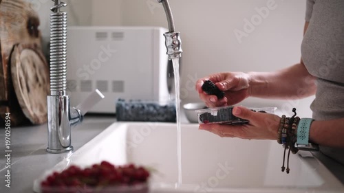 Female Hands Rinsing Fresh Blackberries Under The Kitchen Faucet Stream