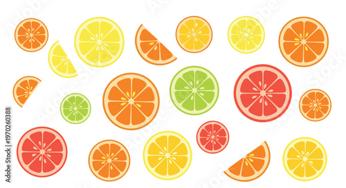 A vibrant collection of assorted citrus fruit slices including lemon lime orange and grapefruit are scattered across a pristine white surface in soft light.