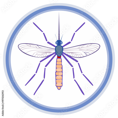 Mosquito Vector Illustration in Circle Frame  Insect Pests and Tropical Diseases