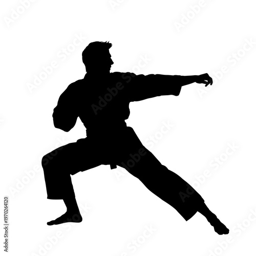 Karate man silhouette in combat stance, vector illustration