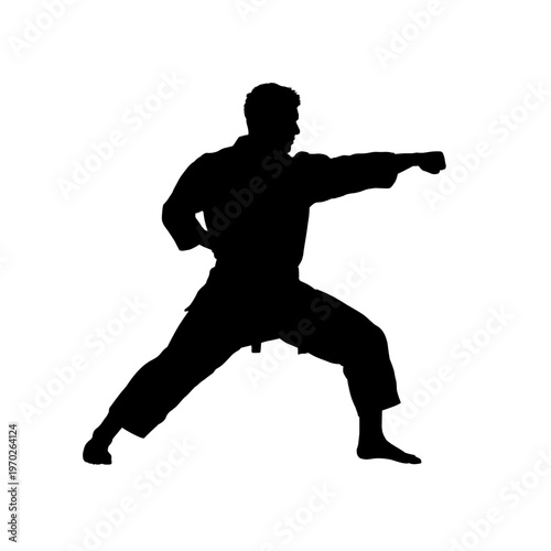 Karate man silhouette in combat stance, vector illustration