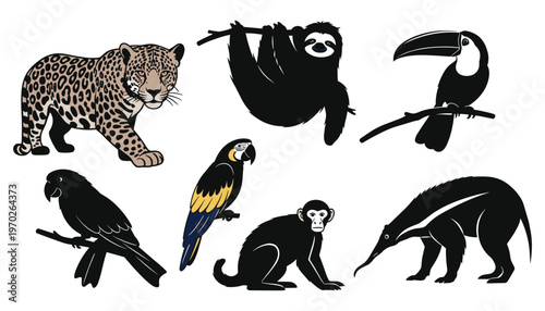 Rainforest animals vector cartoon set with jaguar sloth toucan parrot macaw monkey anteater tropical wildlife illustration