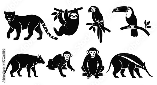 Tropical jungle animal silhouettes set featuring jaguar sloth macaw toucan monkey and anteater vector for rainforest designs