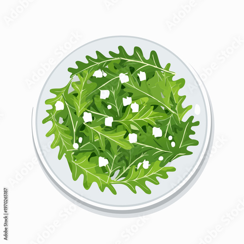 Rucola Salat