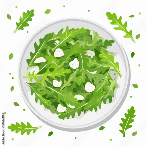 Rucola Salat