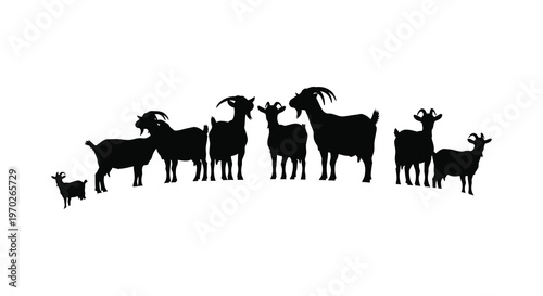 A group of goats standing together in a dark striking silhouette