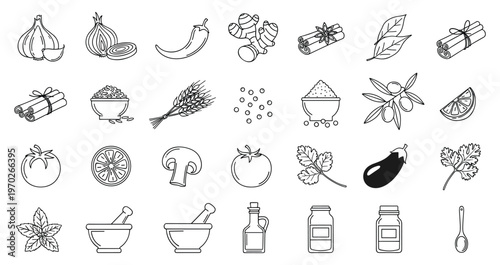 Spices and herbs set with kitchen ingredients garlic ginger cinnamon outline organic cooking vector