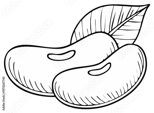 Black and white illustration of two kidney beans with a leaf