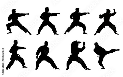 Karate men silhouettes set  -  vector illustration