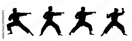 Karate men silhouettes set  -  vector illustration