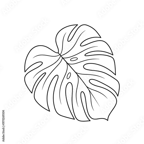 Monstera leaf outline drawing, simple botanical line art