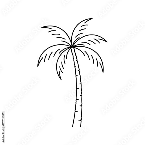Simple line art palm tree illustration