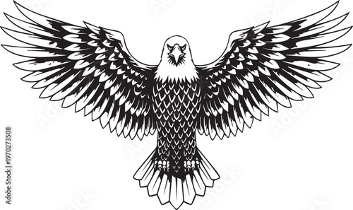 Black and white eagle, bird illustration, winged animal, wildlife graphic