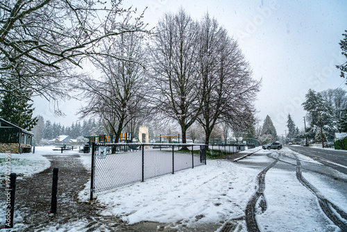 Snow At Burien Park