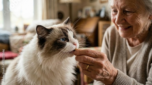 Senior woman feeding cat indoors showing nurturing care and emotional connection in calm domestic lifestyle