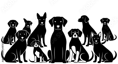 A captivating silhouette of a diverse group of dogs, showcasing various breeds and sizes, all in a striking black and white contrast.