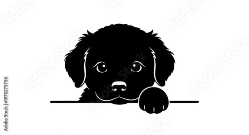 Adorable black puppy peeking over a white surface with innocent eyes.