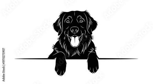 Black and white illustration of a happy Golden Retriever dog peeking over a blank white surface, perfect for pet-themed designs and merchandise.