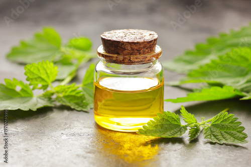 Nettle leaf oil with fresh green leaves on black rustic table, closeup, copy space, natural medicine, diet food and drink, homeoparhy, hair and skin healthy care, detox and diet healthy food concept
