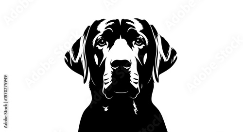 Black and white portrait of a dog looking directly at the viewer.
