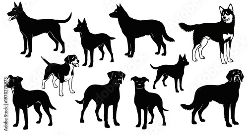 Collection of various dog breeds in silhouette and outline form.