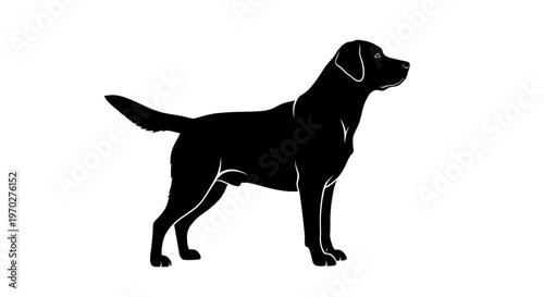 Black silhouette of a Labrador Retriever dog standing in profile, a loyal and friendly companion.