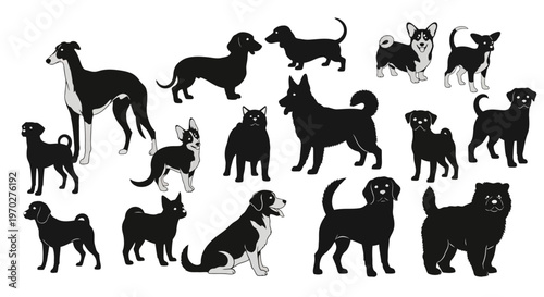 Collection of various dog breeds silhouettes, different sizes and shapes, standing and sitting poses, isolated on white background.