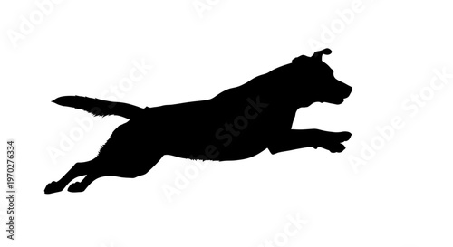 Dynamic silhouette of a dog mid-leap, captured in a moment of energetic motion.