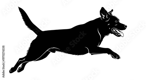 Dynamic Silhouette of a Leaping Black Dog in Mid-Air.