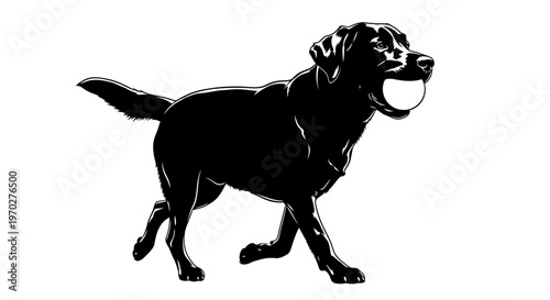 Black Labrador Retriever Dog with Ball Silhouette.