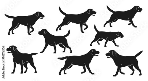 Black Labrador Retriever dogs in various poses, a collection of canine silhouettes.