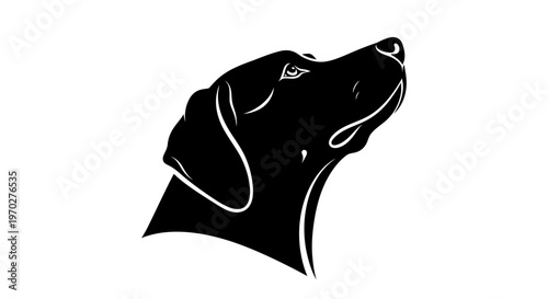 Elegant Black Dog Head Silhouette Looking Up.