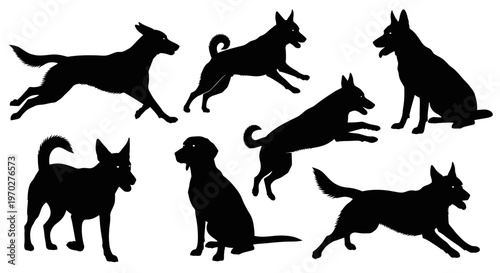 Collection of various dog silhouettes in different poses and actions.