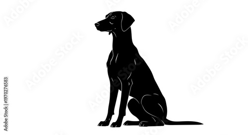 Obraz na plátne Elegant Black Dog Silhouette Sitting Gracefully on White Background