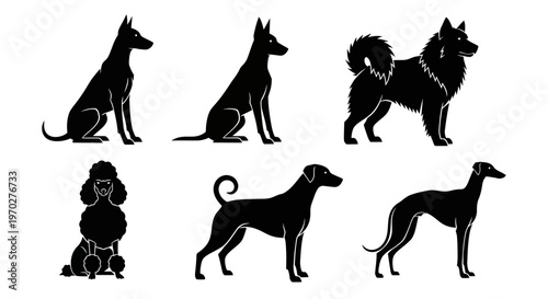 Collection of various dog breed silhouettes in black.