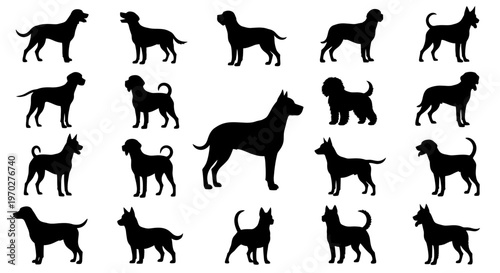 Collection of various dog breed silhouettes in black and white.