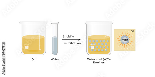 Emulsion, a mixture of two immiscible liquids (oil and water) in beakers, Emulsion oil in water, Immiscible liquids. Emulsification, emulsifier. isolated on white background. Vector illustration.